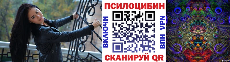 купить закладку  Алапаевск  блэк спрут как войти  Галлюциногенные грибы прущие грибы 